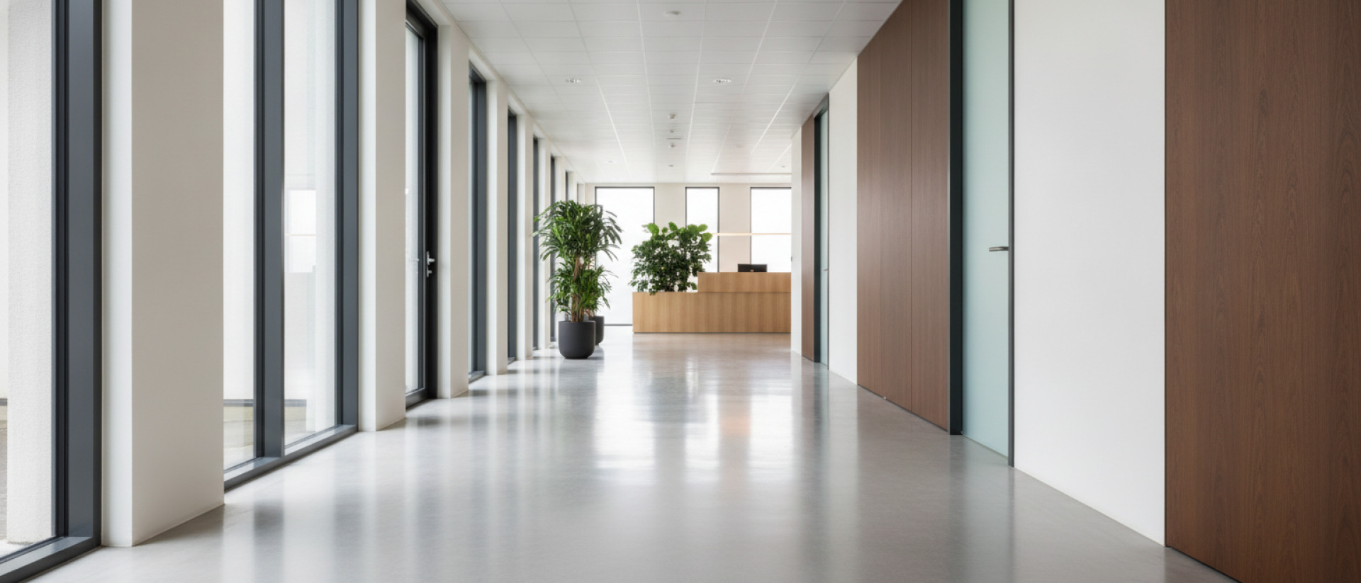 Schoonmaakbedrijf Bergeijk